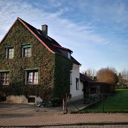 Apartment Ferienwohnung Emmerthal Auch Fuer Monteure Fewo エクステリア 写真
