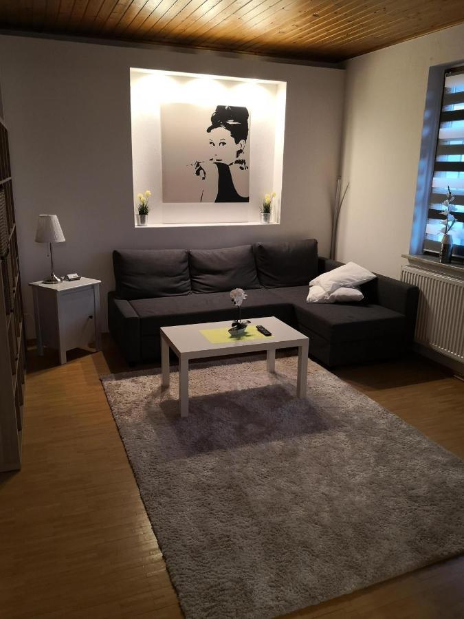 Apartment Ferienwohnung Emmerthal Auch Fuer Monteure Fewo エクステリア 写真