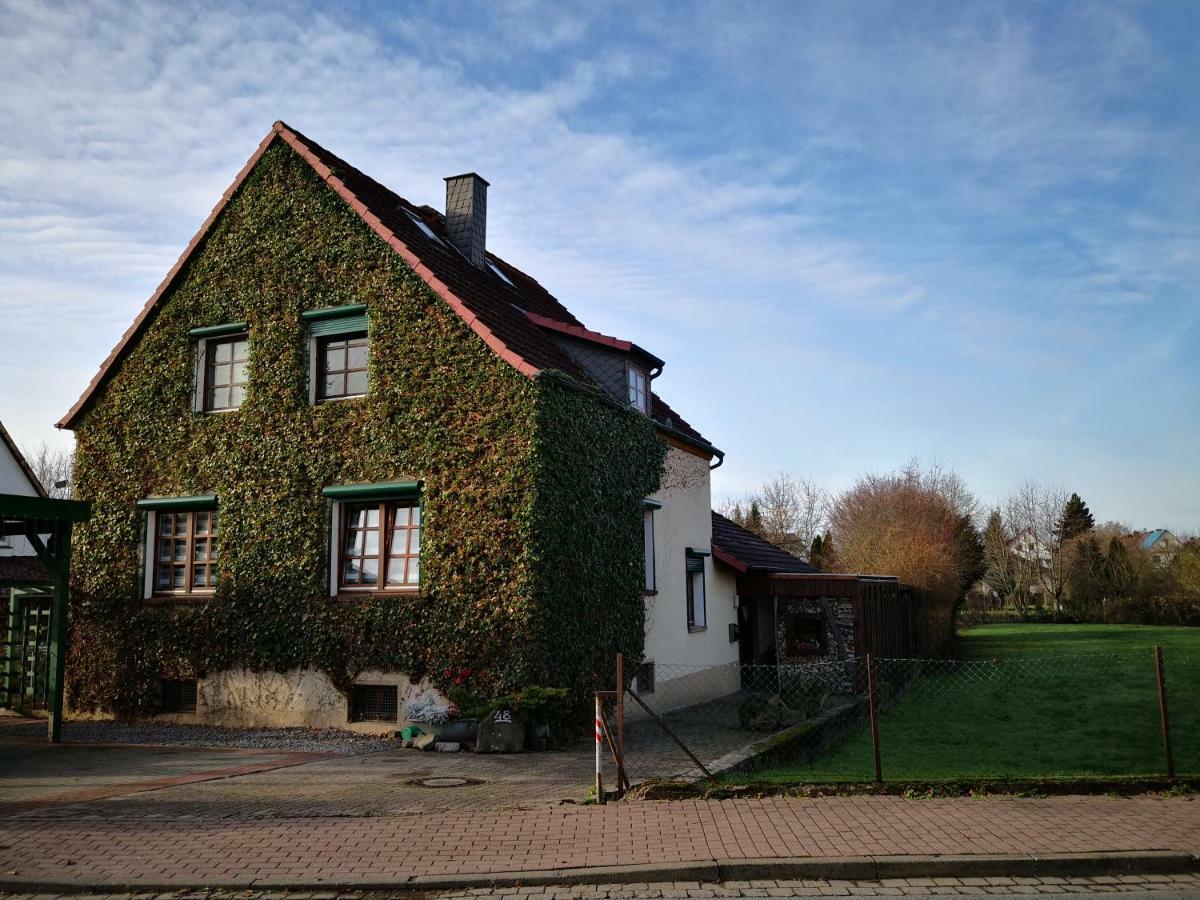 Apartment Ferienwohnung Emmerthal Auch Fuer Monteure Fewo エクステリア 写真